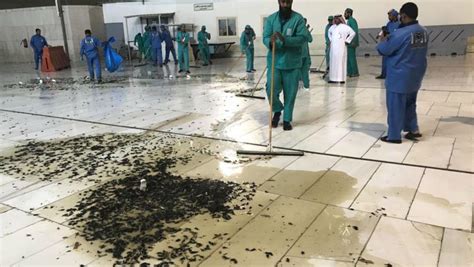 cockroach in mecca|Mecca’s Grand Mosque plagued by swarm of locusts.